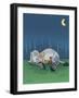 Sleepytown - Turtle-Chad Thompson-Framed Giclee Print