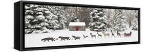 Sleigh in the Snow, Farmington Hills, Michigan ‘09-Monte Nagler-Framed Stretched Canvas