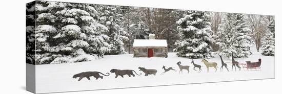 Sleigh in the Snow, Farmington Hills, Michigan ‘09-Monte Nagler-Stretched Canvas