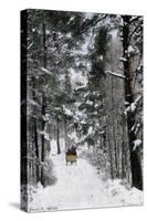 Sleigh-Ride Through the north Shore Woods, Massachusetts, 1800s-null-Stretched Canvas
