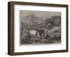 Sleighing Ferns-Henry Moore-Framed Premium Giclee Print