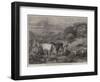 Sleighing Ferns-Henry Moore-Framed Premium Giclee Print