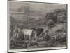 Sleighing Ferns-Henry Moore-Mounted Premium Giclee Print