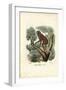 Slender Lori, 1863-79-Raimundo Petraroja-Framed Giclee Print