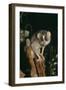 Slender Loris (Loris Tardigradus) Captive, Endangered, From Sri Lanka-Rod Williams-Framed Photographic Print