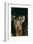 Slender Loris (Loris Tardigradus) Captive, Endangered, From Sri Lanka-Rod Williams-Framed Photographic Print