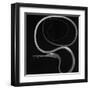 Slender Snipe Eel-Sandra J. Raredon-Framed Art Print