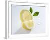 Slice and Wedge of Lemon-Karl Newedel-Framed Photographic Print