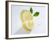 Slice and Wedge of Lemon-Karl Newedel-Framed Photographic Print