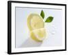 Slice and Wedge of Lemon-Karl Newedel-Framed Photographic Print