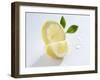 Slice and Wedge of Lemon-Karl Newedel-Framed Photographic Print