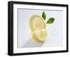 Slice and Wedge of Lemon-Karl Newedel-Framed Photographic Print