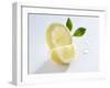 Slice and Wedge of Lemon-Karl Newedel-Framed Photographic Print