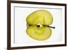 Slice of Apple (Sliced Lengthwise), Backlit-Foodcollection-Framed Photographic Print