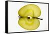 Slice of Apple (Sliced Lengthwise), Backlit-Foodcollection-Framed Stretched Canvas