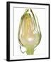 Slice of Artichoke on White Background-null-Framed Photographic Print