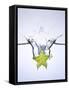 Slice of Carambola Falling into Water-Kröger & Gross-Framed Stretched Canvas