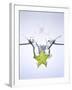 Slice of Carambola Falling into Water-Kröger & Gross-Framed Photographic Print