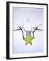 Slice of Carambola Falling into Water-Kröger & Gross-Framed Photographic Print