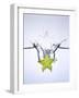 Slice of Carambola Falling into Water-Kröger & Gross-Framed Photographic Print