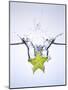 Slice of Carambola Falling into Water-Kröger & Gross-Mounted Photographic Print