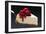 Slice of Cheesecake with Cherries on Cake Server-Foodcollection-Framed Premium Photographic Print