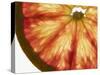 Slice of Grapefruit-null-Stretched Canvas