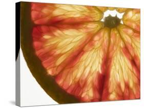 Slice of Grapefruit-null-Stretched Canvas