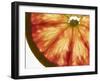 Slice of Grapefruit-null-Framed Photographic Print