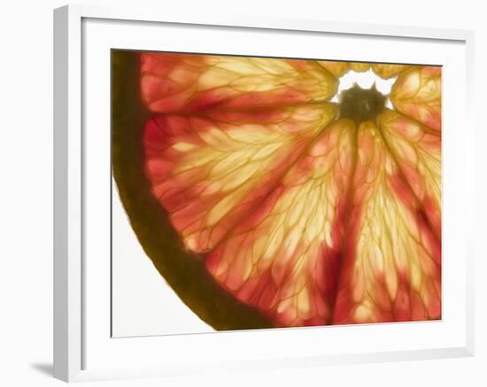 Slice of Grapefruit-null-Framed Photographic Print