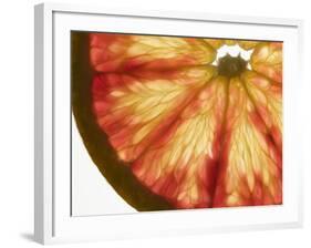 Slice of Grapefruit-null-Framed Photographic Print