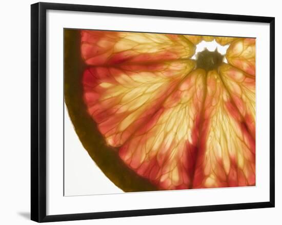 Slice of Grapefruit-null-Framed Photographic Print