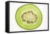 Slice of Kiwi Fruit, Backlit-Foodcollection-Framed Stretched Canvas