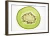 Slice of Kiwi Fruit, Backlit-Foodcollection-Framed Photographic Print