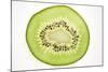 Slice of Kiwi Fruit, Backlit-Foodcollection-Mounted Photographic Print