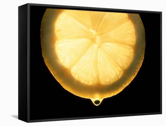 Slice of Lemon-Victor De Schwanberg-Framed Stretched Canvas