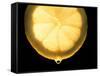 Slice of Lemon-Victor De Schwanberg-Framed Stretched Canvas