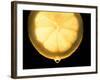 Slice of Lemon-Victor De Schwanberg-Framed Premium Photographic Print