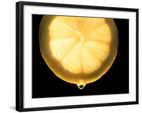 Slice of Lemon-Victor De Schwanberg-Framed Photographic Print