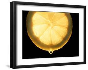 Slice of Lemon-Victor De Schwanberg-Framed Photographic Print