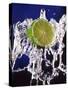 Slice of Lime on Splashing Water-Dirk Olaf Wexel-Stretched Canvas