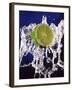 Slice of Lime on Splashing Water-Dirk Olaf Wexel-Framed Photographic Print