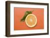 Slice of Orange and Leaf with Drops of Water-Foodcollection-Framed Photographic Print