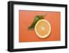 Slice of Orange and Leaf with Drops of Water-Foodcollection-Framed Photographic Print