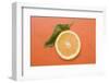 Slice of Orange and Leaf with Drops of Water-Foodcollection-Framed Photographic Print