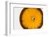 Slice of Orange, Back-Lit-Foodcollection-Framed Photographic Print