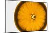 Slice of Orange, Back-Lit-Foodcollection-Mounted Photographic Print