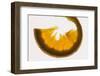 Slice of Orange, Back-Lit-Foodcollection-Framed Photographic Print