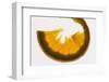 Slice of Orange, Back-Lit-Foodcollection-Framed Photographic Print