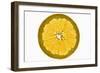 Slice of Orange, Backlit-Foodcollection-Framed Photographic Print